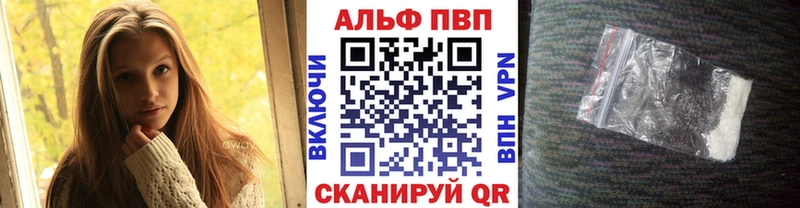 A PVP СК  Юрга 