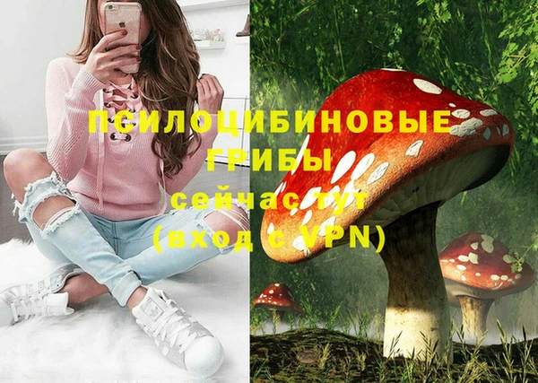 винт Струнино