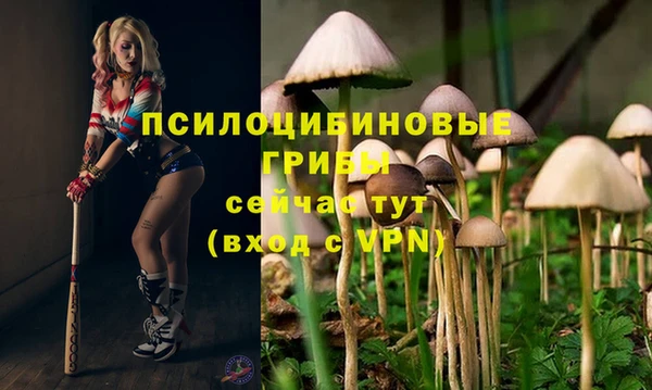 Альфа ПВП Строитель