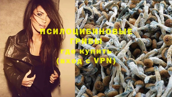 герыч Ступино
